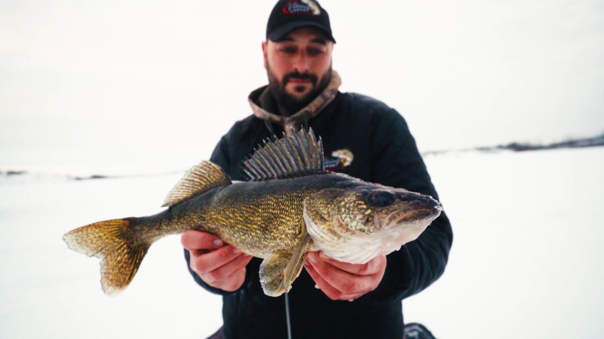 1. walleye ice fishing