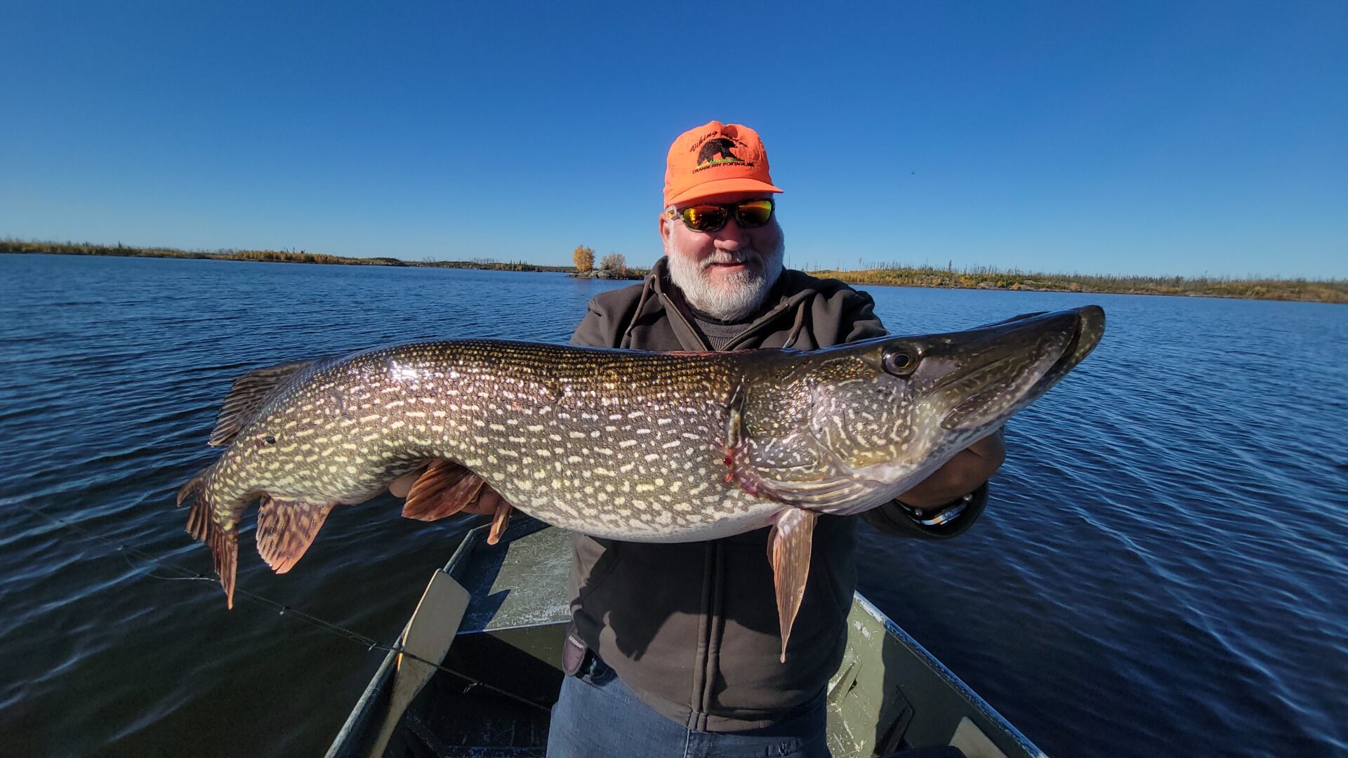big northern pike