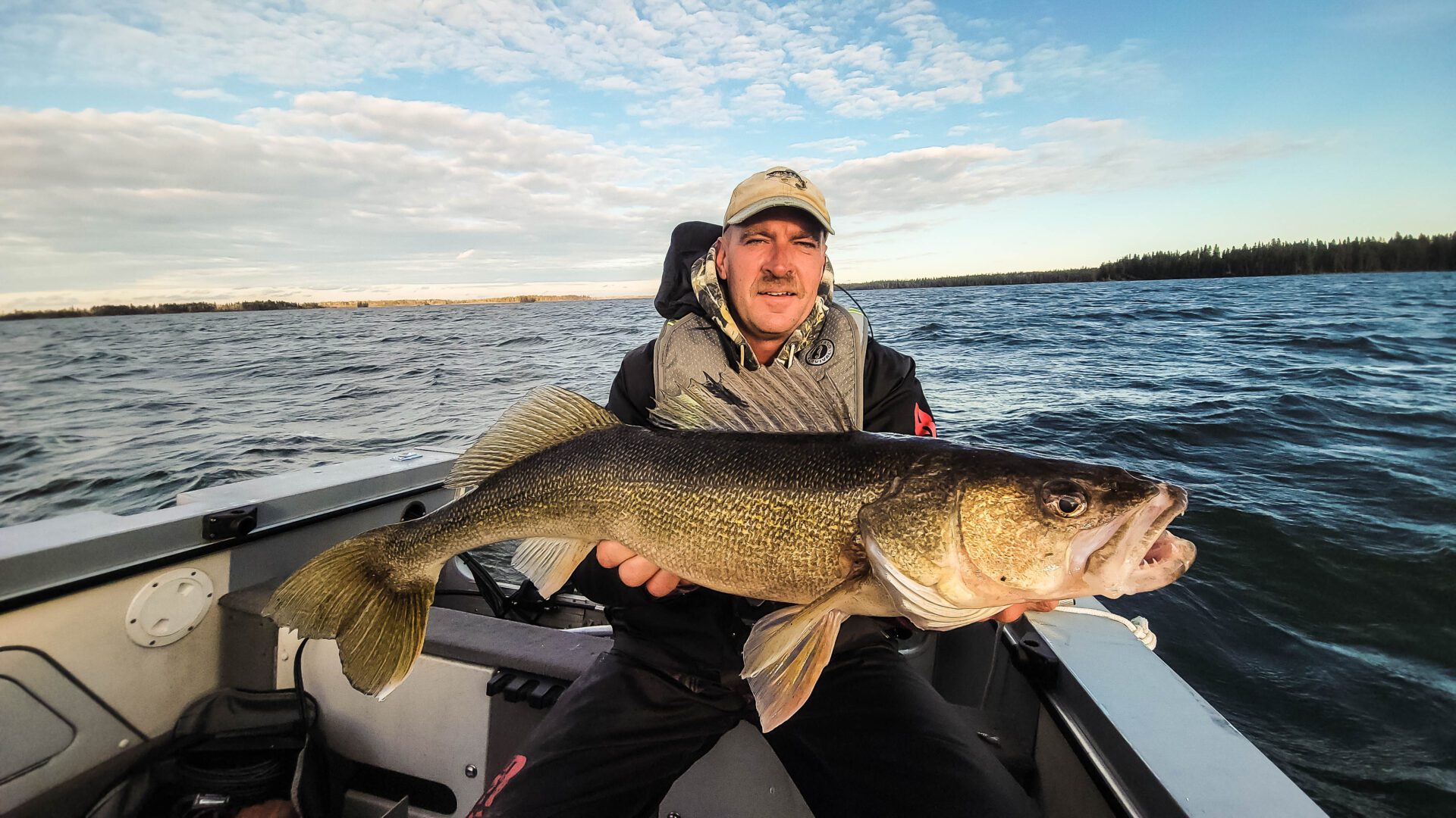 big walleye