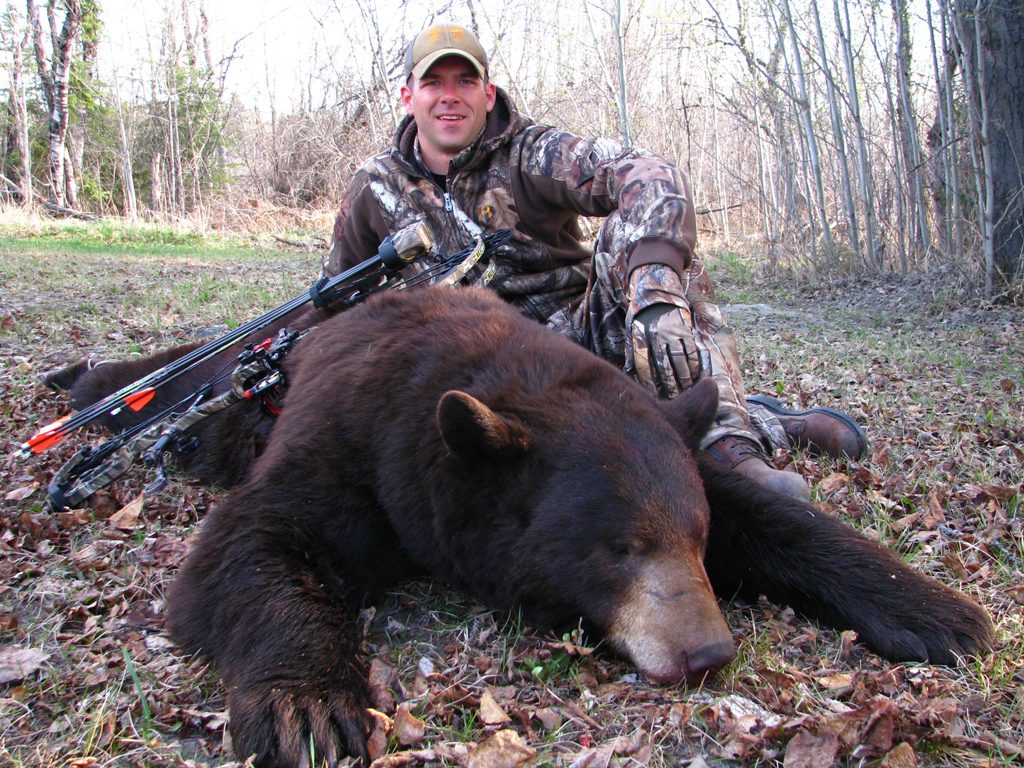 black bear chocolate color phase
