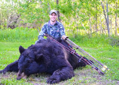 black bear large